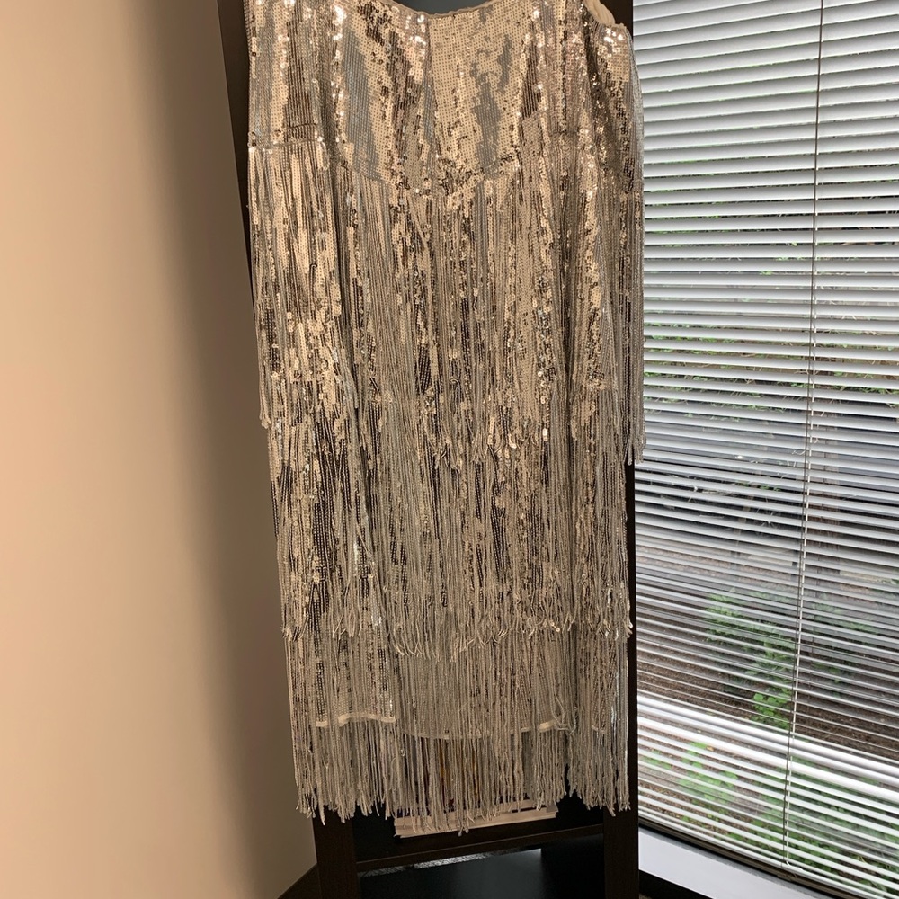 Silver Sequin Fringe Dress